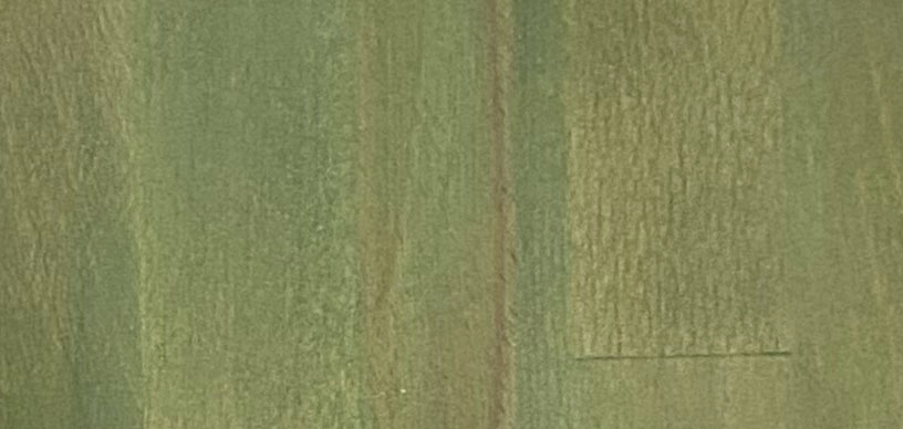 colore legno Verde Liv