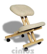 Sedia ergonomica professionale ideale per coloro che lavorano seduti, aiuta a mantenere la posizione corretta della spina dorsale, l'inclinazione  regolabile. La sedia ergonomica marcata Cinius  un prodotto di ottima qualit� che non va assolutamente confuso con altre sedie simili per forma presenti sul mercato a prezzi irrisori con foderature ed imbottiture scadenti (facilmente deformabili)